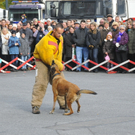 _DSC9499.JPG