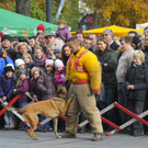_DSC9502.JPG