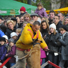 _DSC9510.JPG