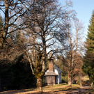 DSC06375.JPG