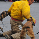 _DSC9683.JPG