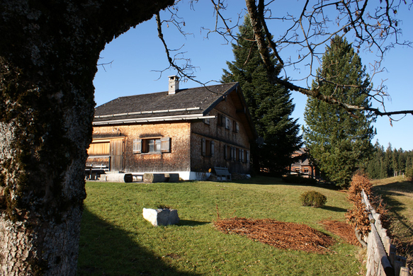 DSC06382.JPG