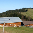 DSC06383.JPG