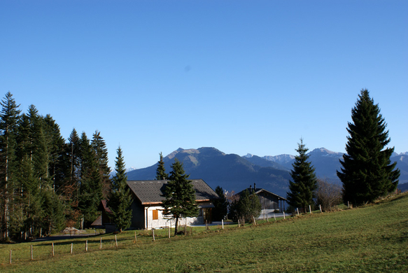 DSC06385.JPG
