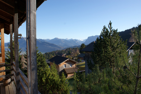 DSC06386.JPG