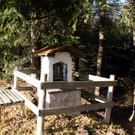 DSC06389.JPG
