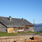 DSC06390.JPG