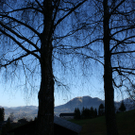 DSC06399.JPG