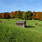 DSC06401.JPG