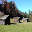 DSC09035.JPG