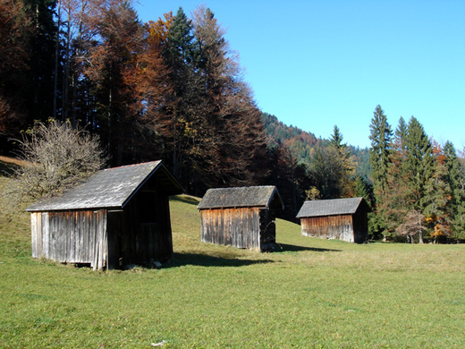 DSC09035.JPG