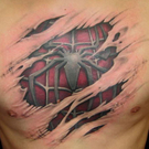 spiderman.jpg