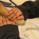 28 Therapiehundezentrum G__tzis - ein toller Freund_JPG-1288175632