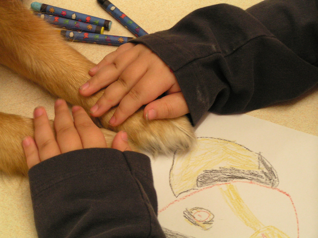 28 Therapiehundezentrum G__tzis - ein toller Freund_JPG-1288175632