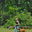 05 CDC Hundesportverein G__tzis - auch wir sorgen f__r Bewegung_jpg-1288176173