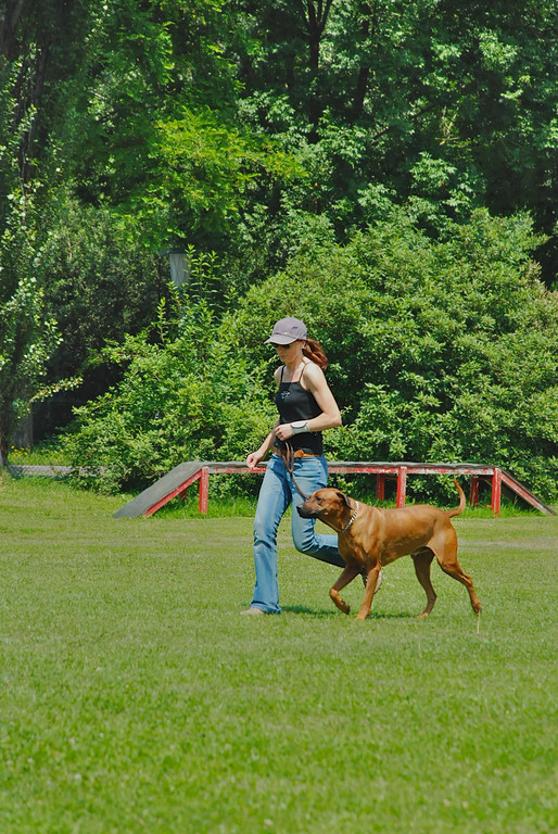 05 CDC Hundesportverein G__tzis - auch wir sorgen f__r Bewegung_jpg-1288176173