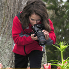17 Naturfreunde Fotoclub G__tzis - ein Blick f__r das Detail_JPG-1288176622