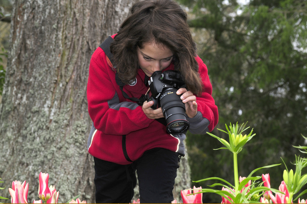 17 Naturfreunde Fotoclub G__tzis - ein Blick f__r das Detail_JPG-1288176622