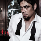 CAMPARI_CALENDAR_2011_The_Red_Affair_13_BACK_COVER.jpg