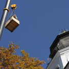 normal_27102010antriebtaaktivnews_15.jpg