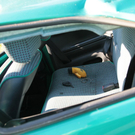 27102010vustockhamfibaktivnews_20_15_.jpg