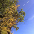 27102010163.jpg