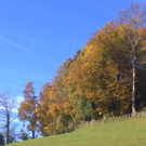 27102010165.jpg