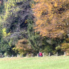 27102010166.jpg