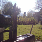 27102010167.jpg