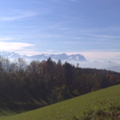 27102010169.jpg