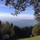 27102010171.jpg