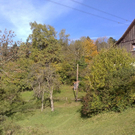 27102010173.jpg