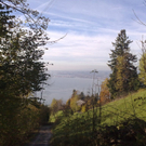 27102010174.jpg