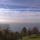 27102010175.jpg