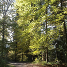 27102010177.jpg