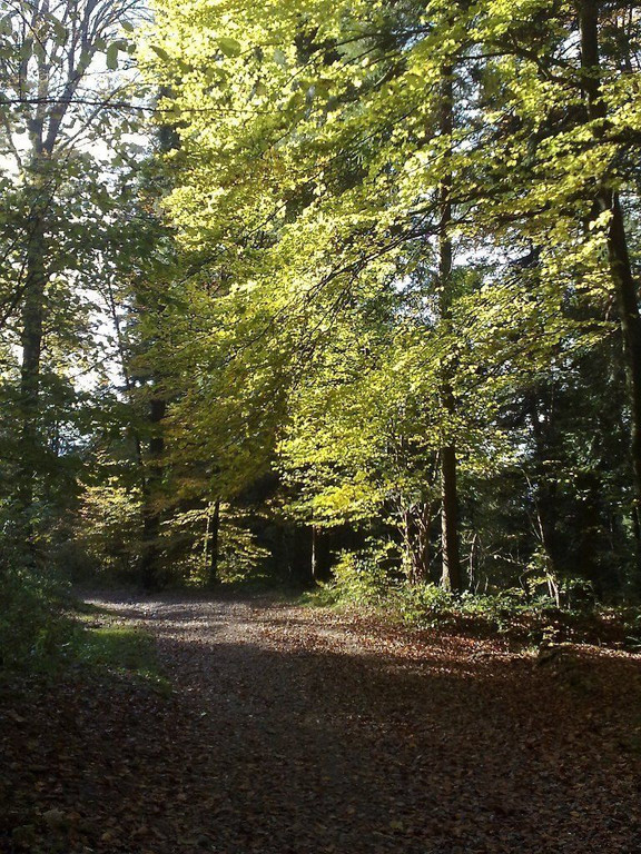 27102010177.jpg