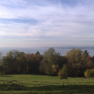 27102010178.jpg