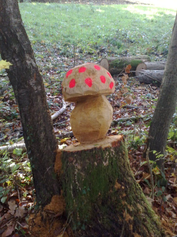 27102010180.jpg