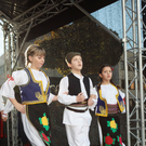 IMG_8403_Gr____enver__nderung.JPG