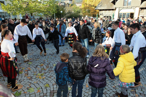 IMG_8436_Gr____enver__nderung.JPG