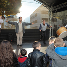 IMG_8448_Gr____enver__nderung.JPG