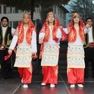 IMG_8460_Gr____enver__nderung.JPG