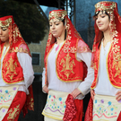 IMG_8465_Gr____enver__nderung.JPG