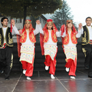 IMG_8468_Gr____enver__nderung.JPG