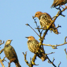 Bild 657_jpg-1288221354