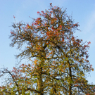 Bild 680_jpg-1288221418