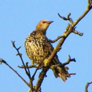 Bild 695_jpg-1288221440