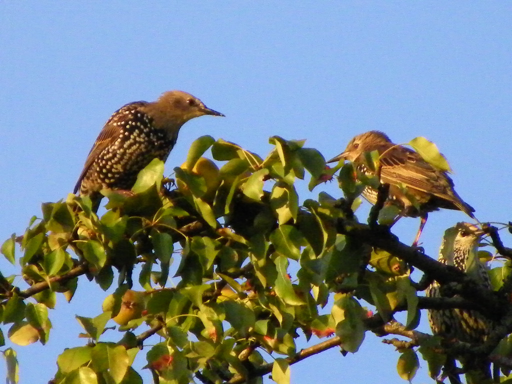 Bild 719_jpg-1288221450