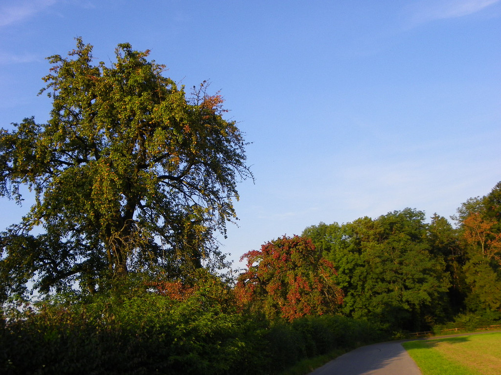 Bild 679_jpg-1288221407