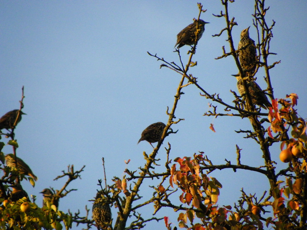 Bild 746_jpg-1288221461